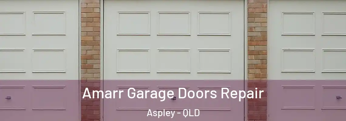 Amarr Garage Doors Repair Aspley - QLD
