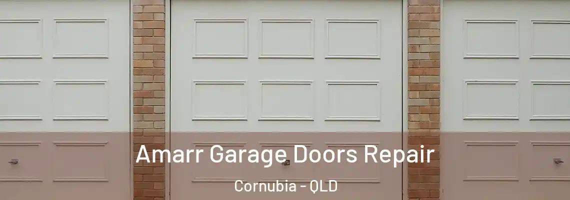 Amarr Garage Doors Repair Cornubia - QLD