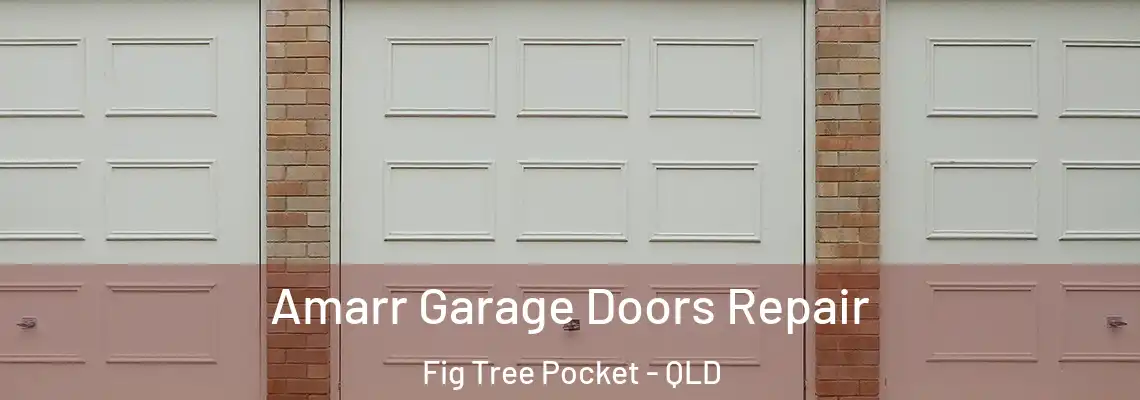 Amarr Garage Doors Repair Fig Tree Pocket - QLD