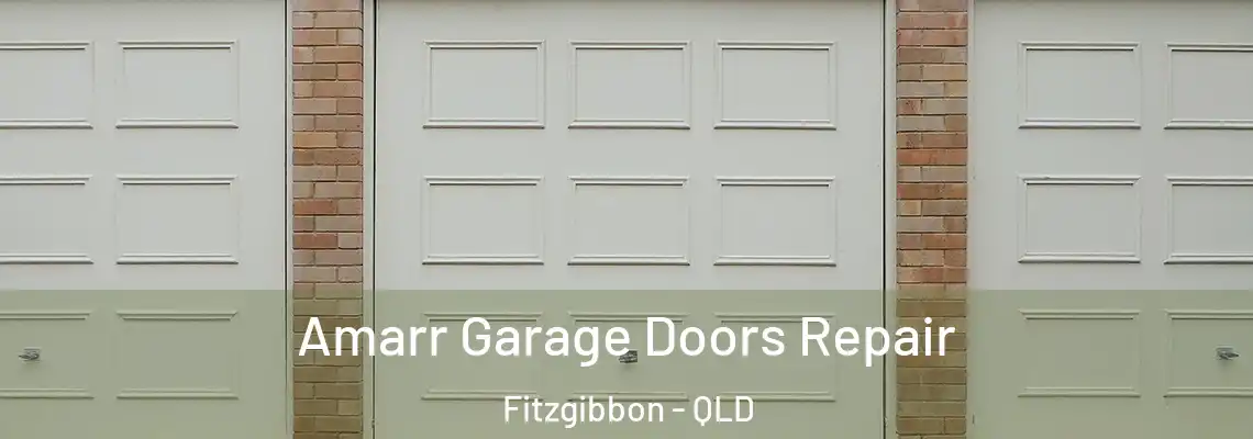 Amarr Garage Doors Repair Fitzgibbon - QLD