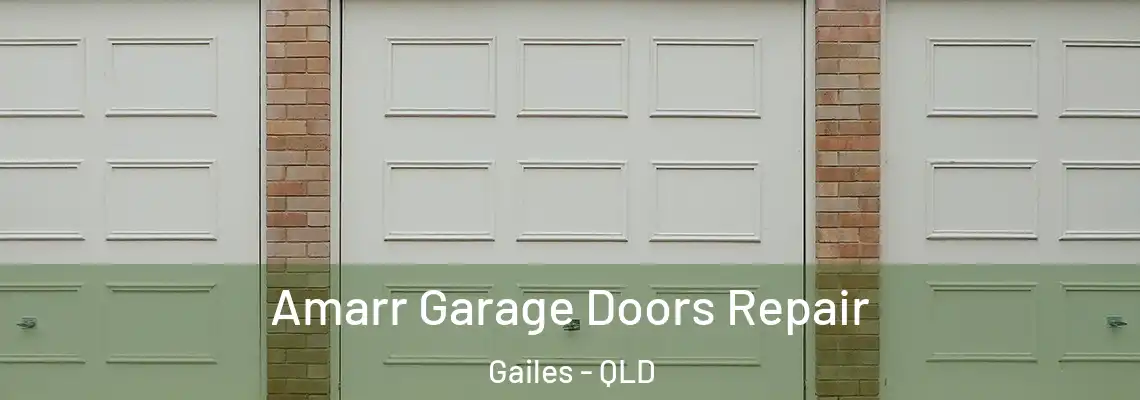 Amarr Garage Doors Repair Gailes - QLD