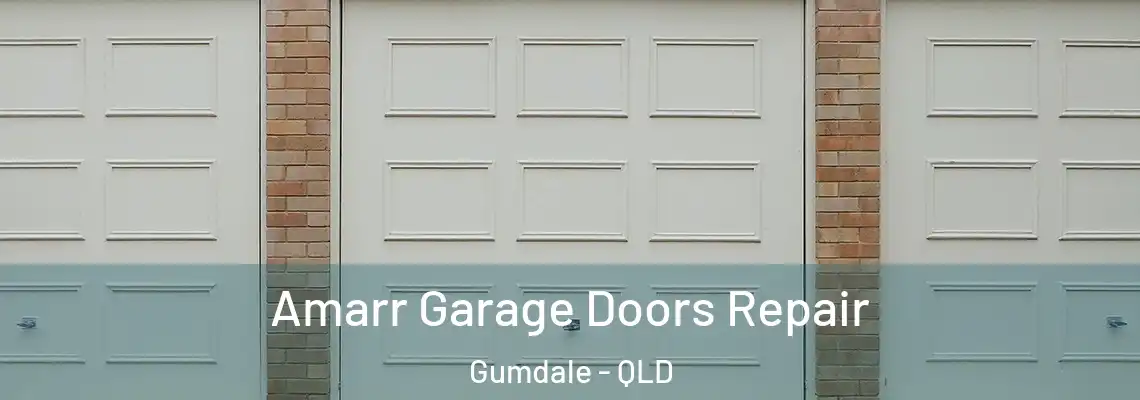 Amarr Garage Doors Repair Gumdale - QLD