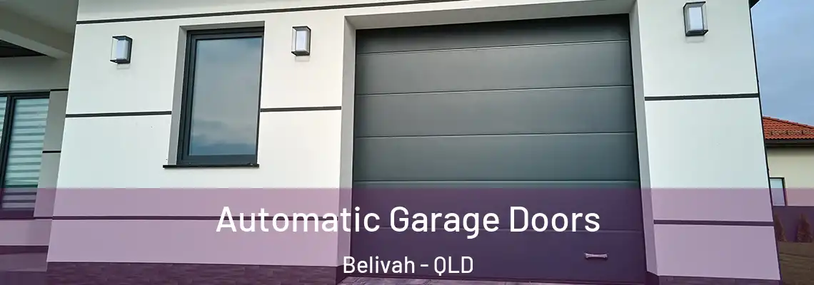 Automatic Garage Doors Belivah - QLD