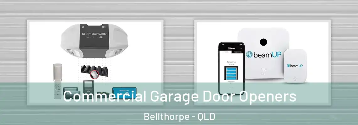 Commercial Garage Door Openers Bellthorpe - QLD