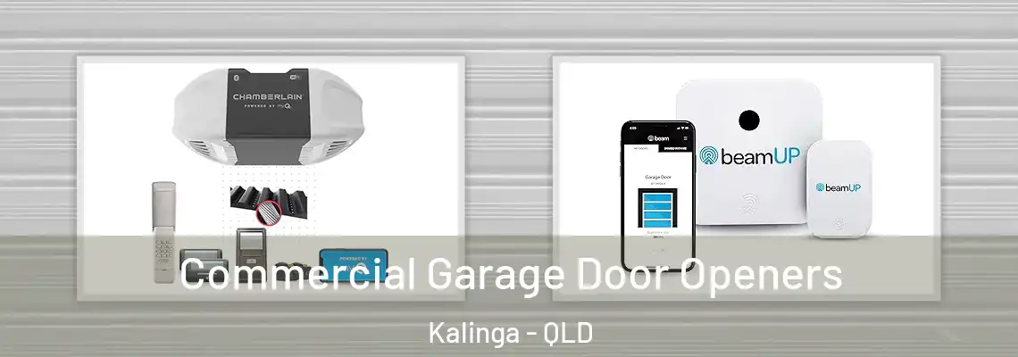 Commercial Garage Door Openers Kalinga - QLD