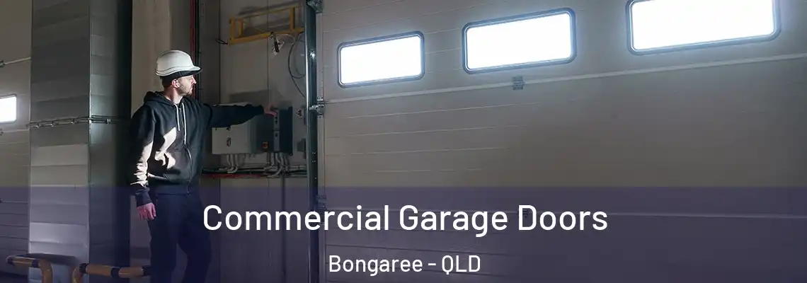 Commercial Garage Doors Bongaree - QLD