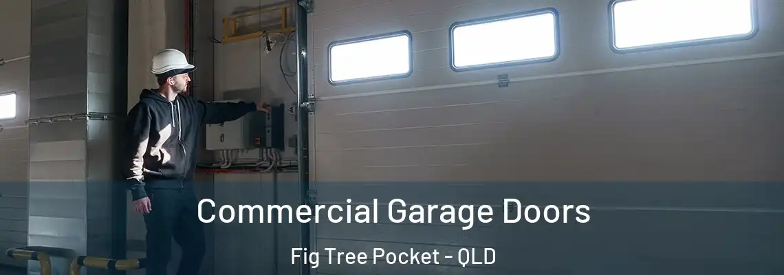  Commercial Garage Doors Fig Tree Pocket - QLD