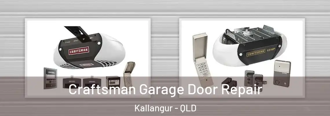 Craftsman Garage Door Repair Kallangur - QLD