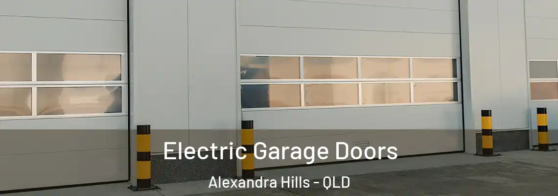 Electric Garage Doors Alexandra Hills - QLD