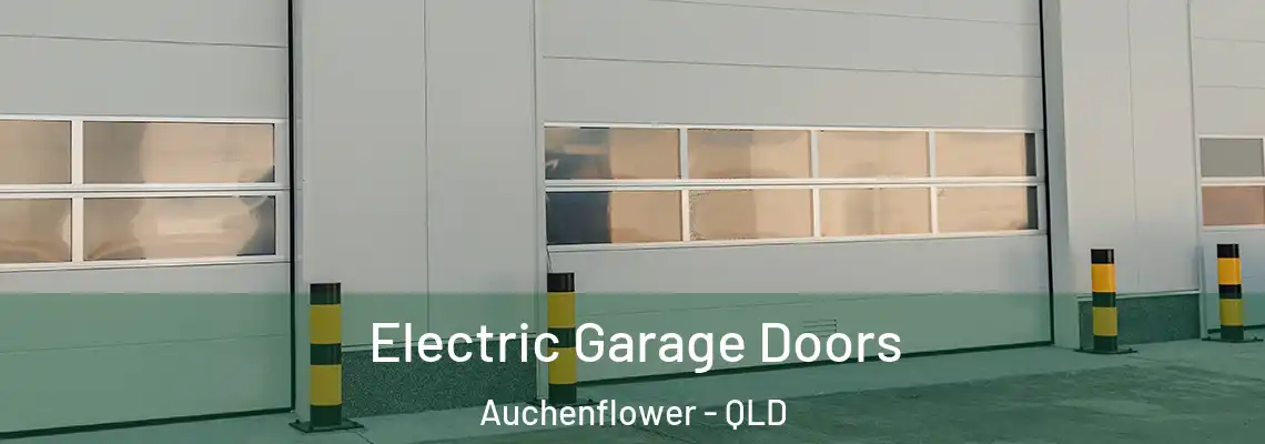 Electric Garage Doors Auchenflower - QLD