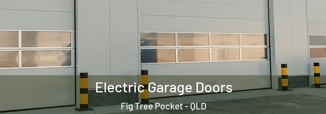 Electric Garage Doors Fig Tree Pocket - QLD