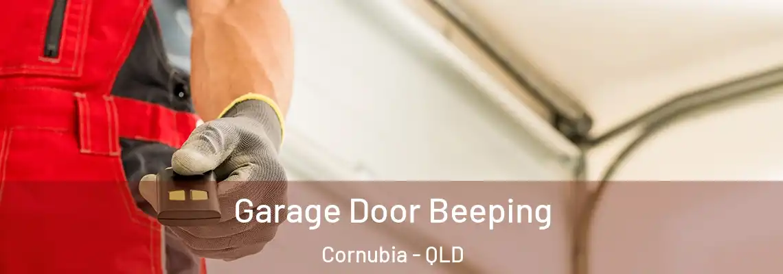 Garage Door Beeping Cornubia - QLD