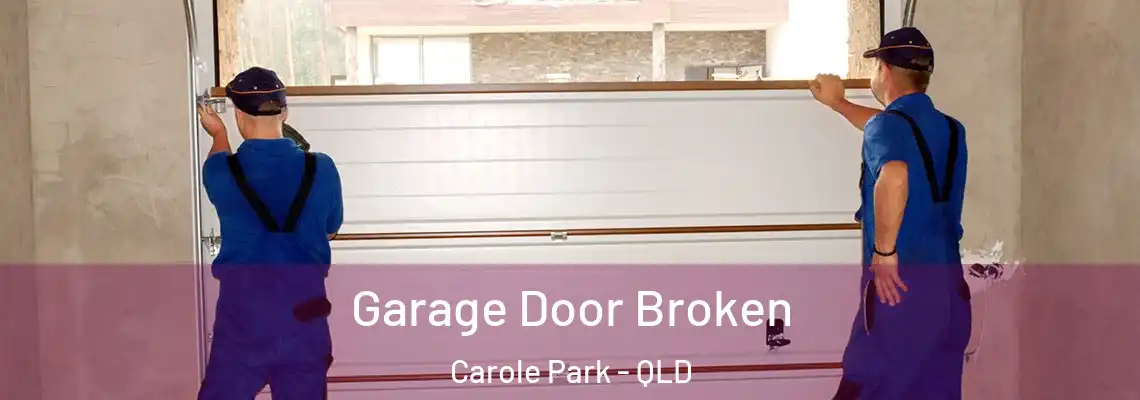  Garage Door Broken Carole Park - QLD