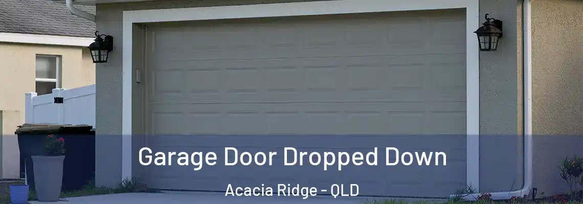  Garage Door Dropped Down Acacia Ridge - QLD