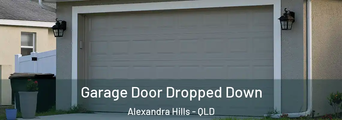 Garage Door Dropped Down Alexandra Hills - QLD