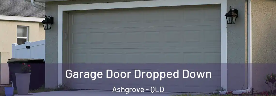 Garage Door Dropped Down Ashgrove - QLD