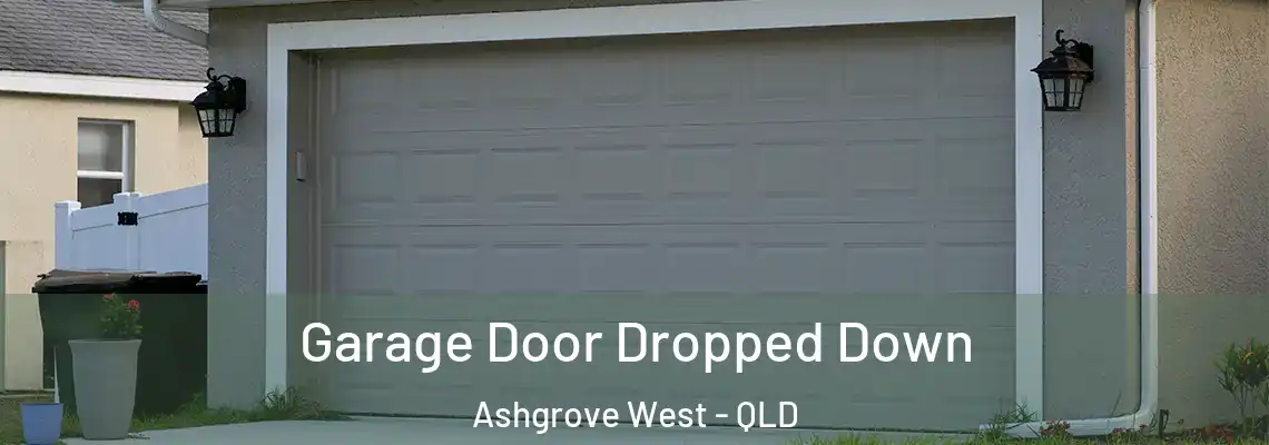 Garage Door Dropped Down Ashgrove West - QLD