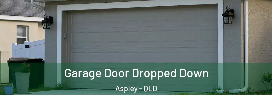 Garage Door Dropped Down Aspley - QLD