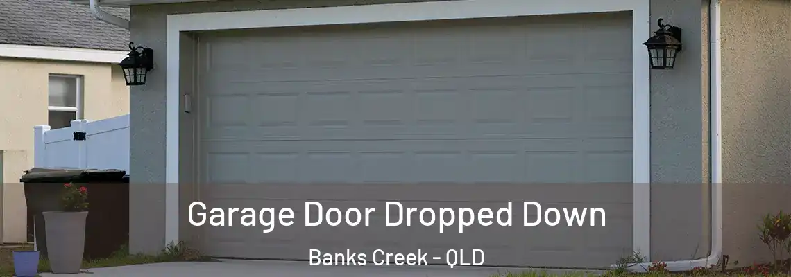 Garage Door Dropped Down Banks Creek - QLD