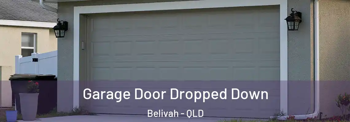 Garage Door Dropped Down Belivah - QLD