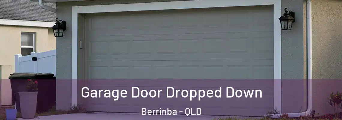 Garage Door Dropped Down Berrinba - QLD
