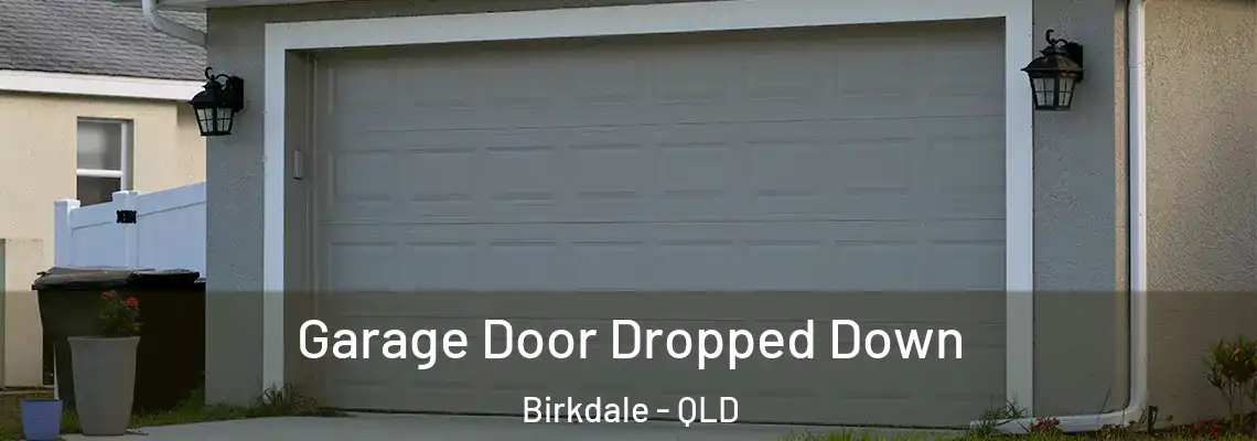 Garage Door Dropped Down Birkdale - QLD