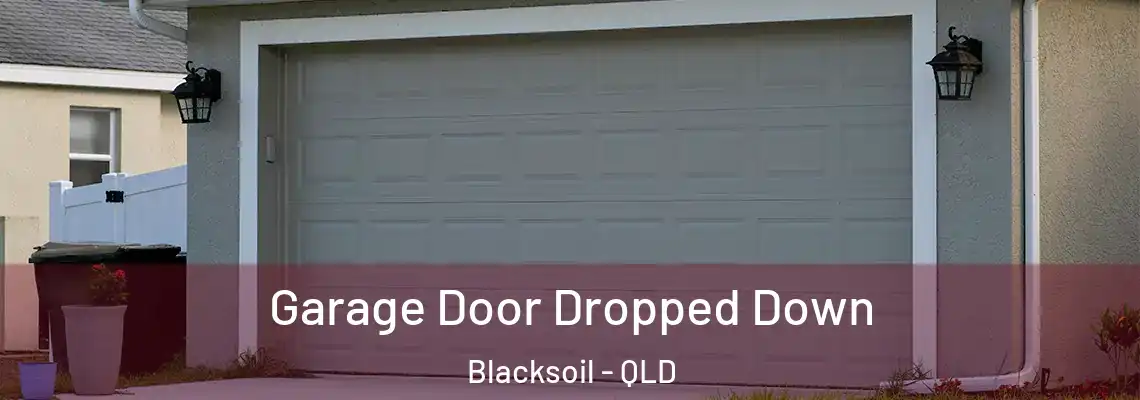 Garage Door Dropped Down Blacksoil - QLD