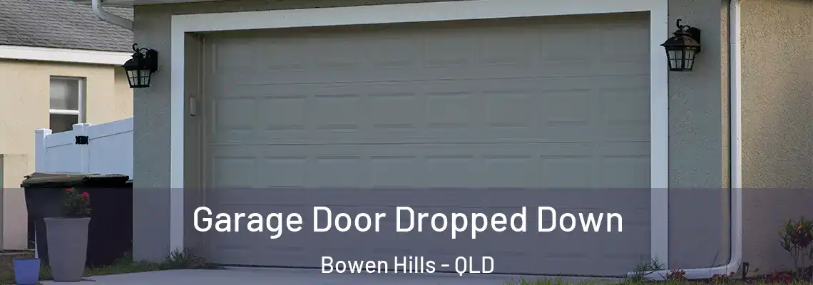 Garage Door Dropped Down Bowen Hills - QLD