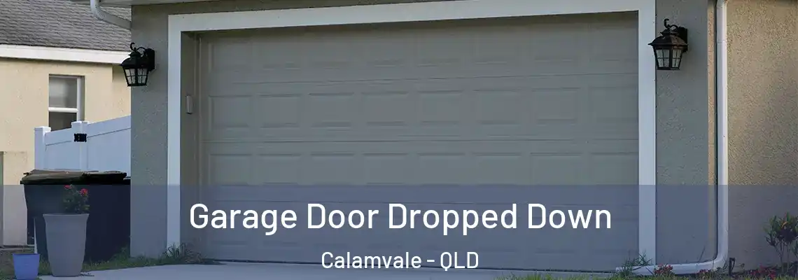 Garage Door Dropped Down Calamvale - QLD