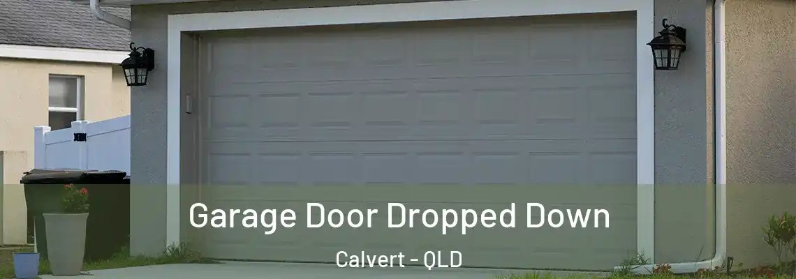 Garage Door Dropped Down Calvert - QLD