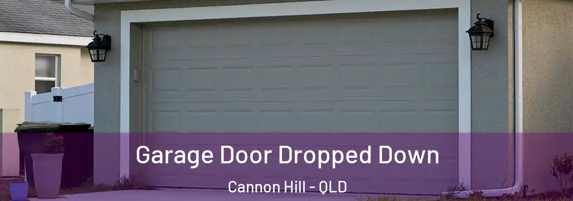  Garage Door Dropped Down Cannon Hill - QLD