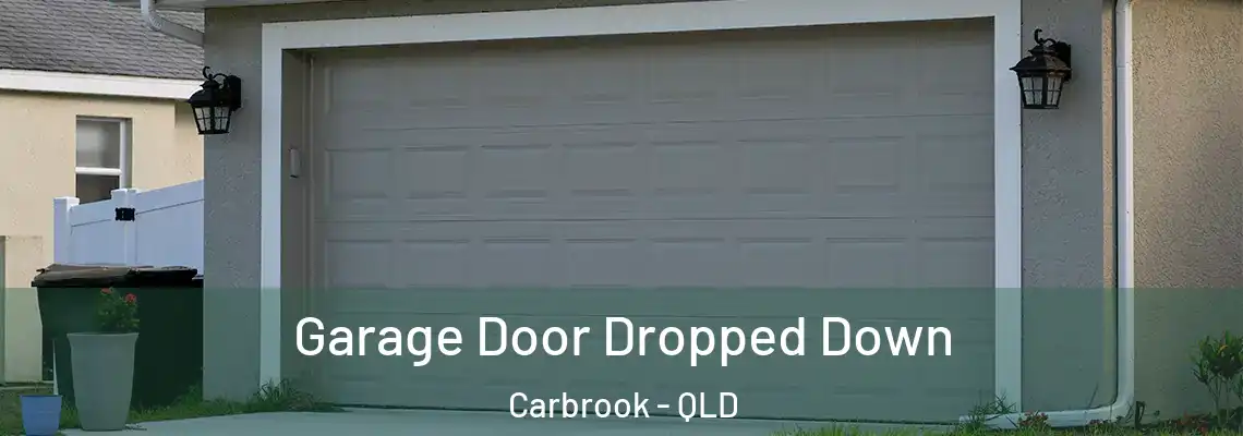 Garage Door Dropped Down Carbrook - QLD