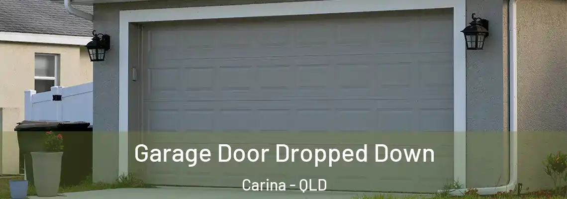 Garage Door Dropped Down Carina - QLD