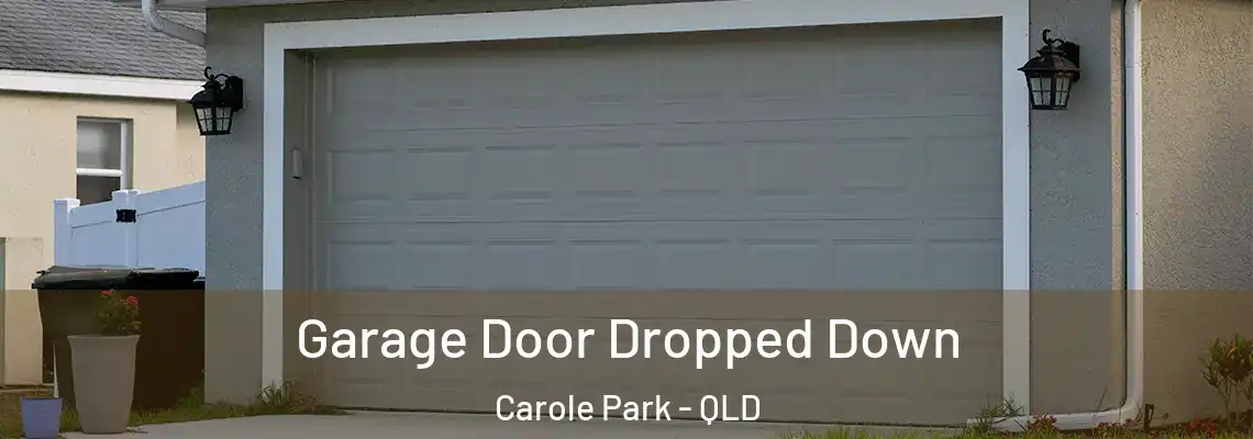 Garage Door Dropped Down Carole Park - QLD