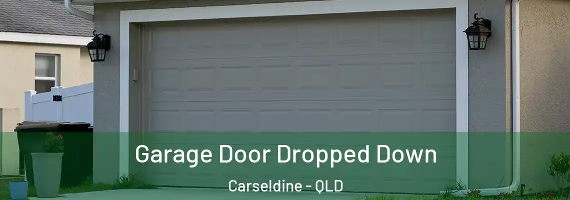 Garage Door Dropped Down Carseldine - QLD