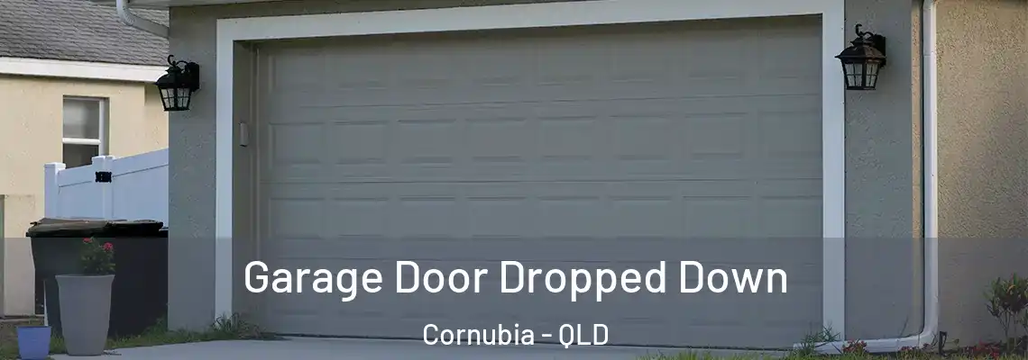 Garage Door Dropped Down Cornubia - QLD