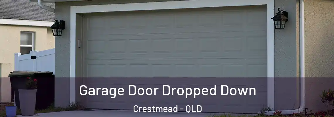  Garage Door Dropped Down Crestmead - QLD