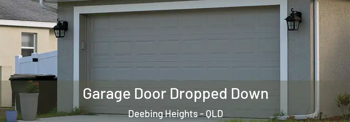 Garage Door Dropped Down Deebing Heights - QLD