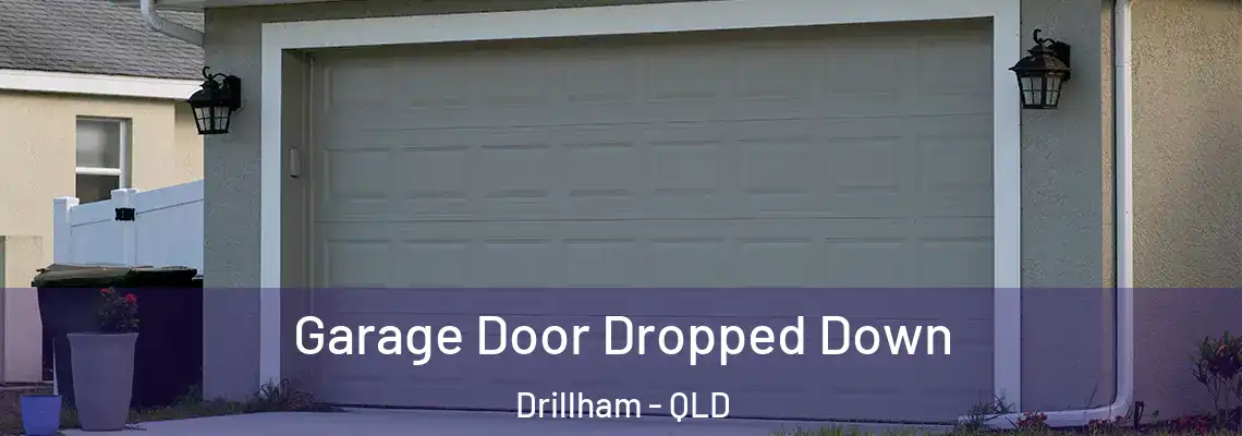 Garage Door Dropped Down Drillham - QLD