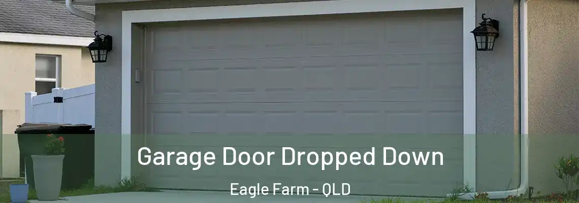  Garage Door Dropped Down Eagle Farm - QLD