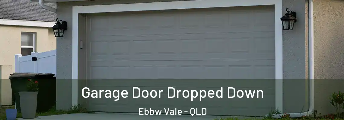 Garage Door Dropped Down Ebbw Vale - QLD