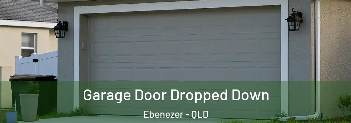 Garage Door Dropped Down Ebenezer - QLD
