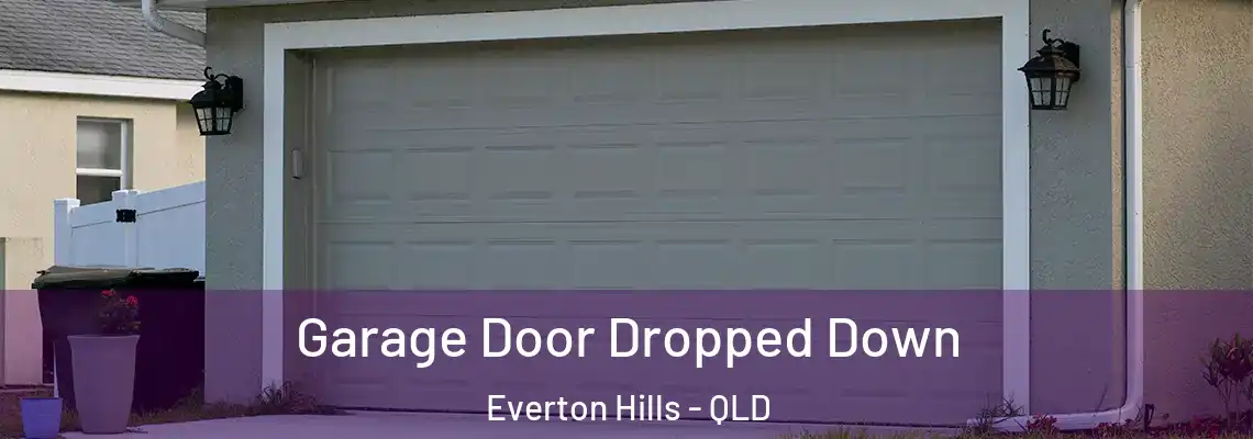  Garage Door Dropped Down Everton Hills - QLD