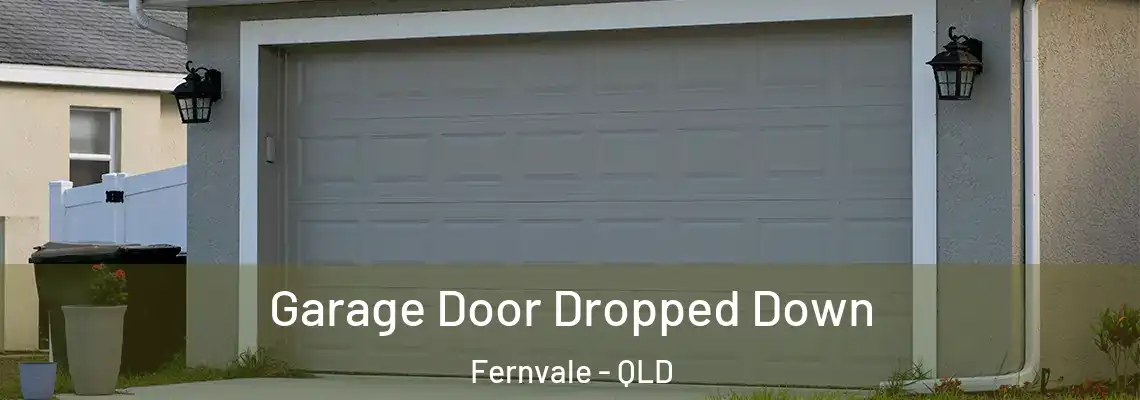  Garage Door Dropped Down Fernvale - QLD