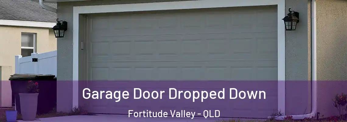 Garage Door Dropped Down Fortitude Valley - QLD