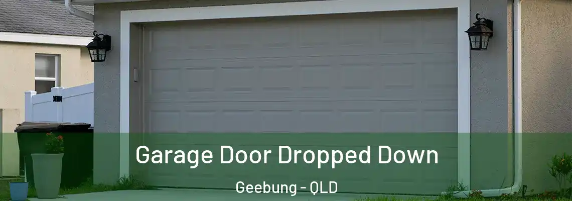  Garage Door Dropped Down Geebung - QLD