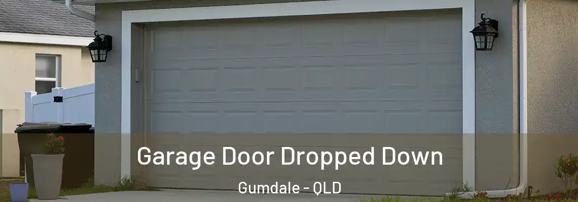  Garage Door Dropped Down Gumdale - QLD