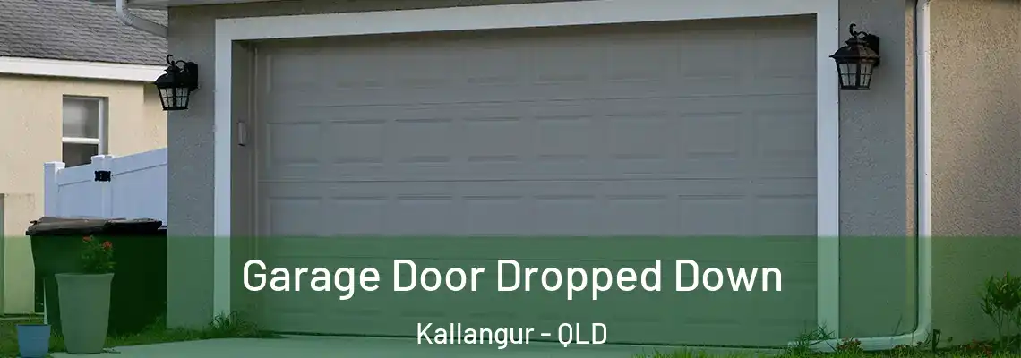 Garage Door Dropped Down Kallangur - QLD