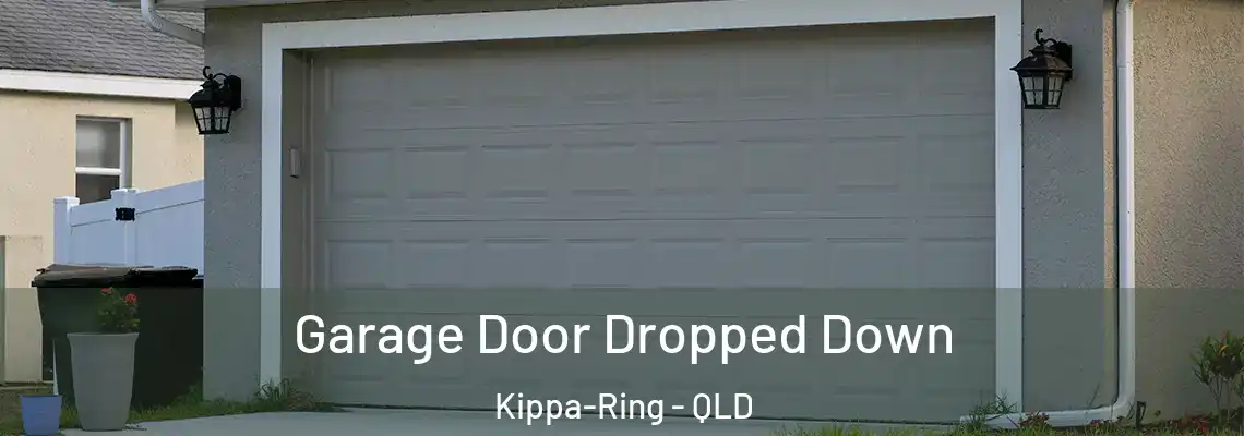 Garage Door Dropped Down Kippa-Ring - QLD