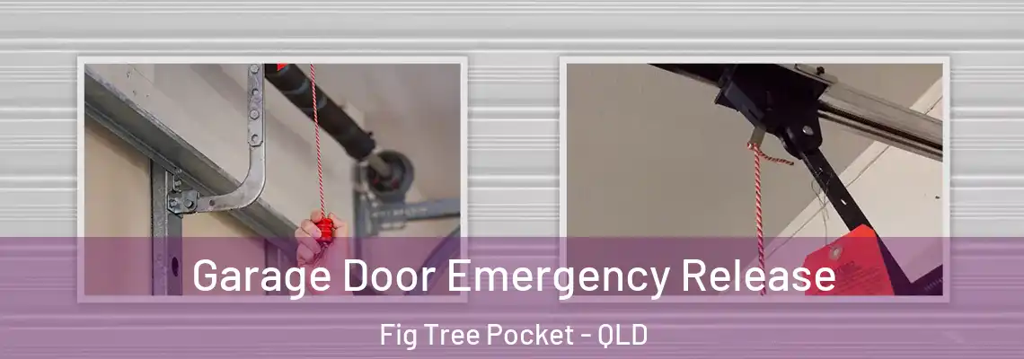 Garage Door Emergency Release Fig Tree Pocket - QLD